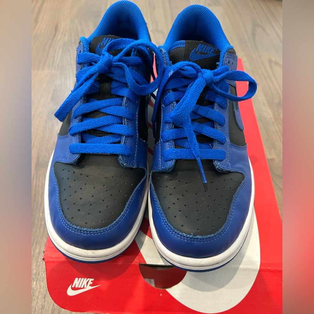 Nike Dunks Low Royal Blue and Black